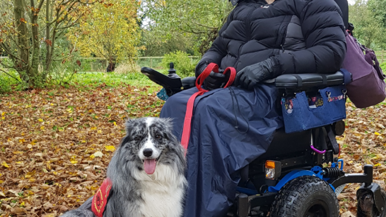 Magic-Mobility-Frontier-V6-All-Terrain-MWD_Image_752x730