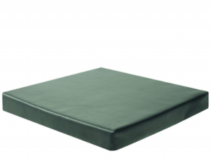 Comfort Plus Cushion